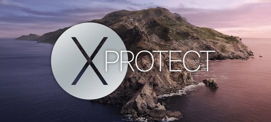 X Protect